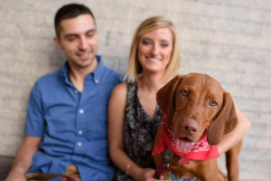 dog at engagement in madison