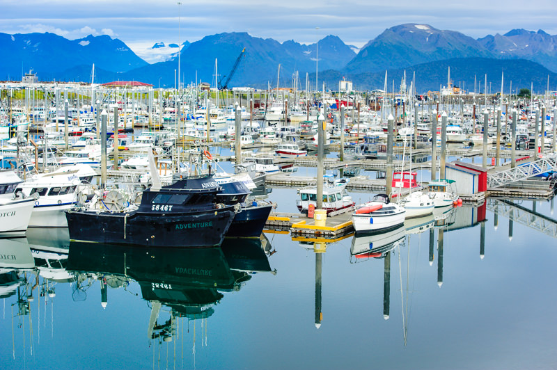 homer alaska boat harbor